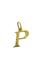 Zlatý prívesok písmenko P gravírované                                           